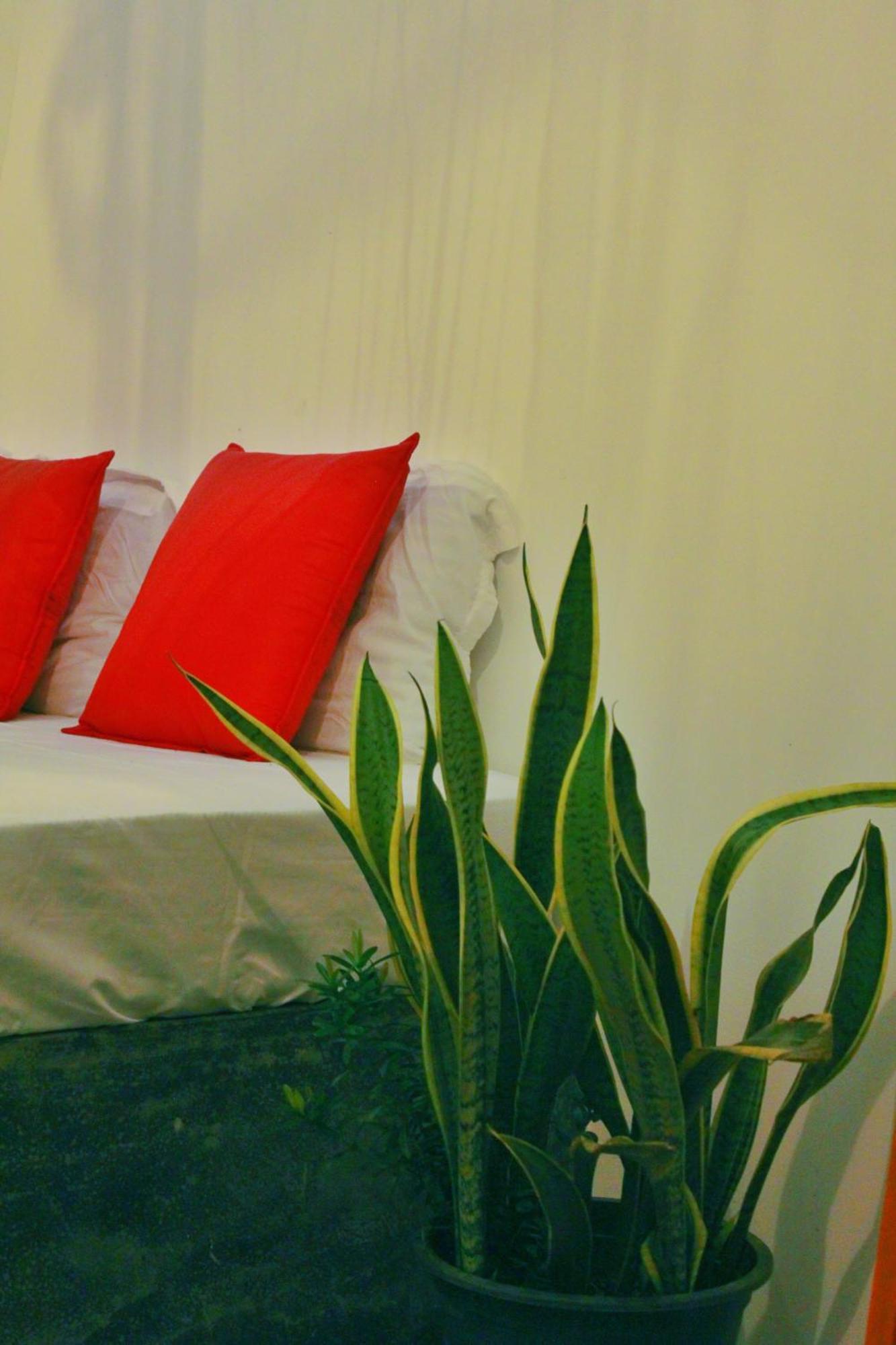 Linu Homestay Dikwella Exterior foto